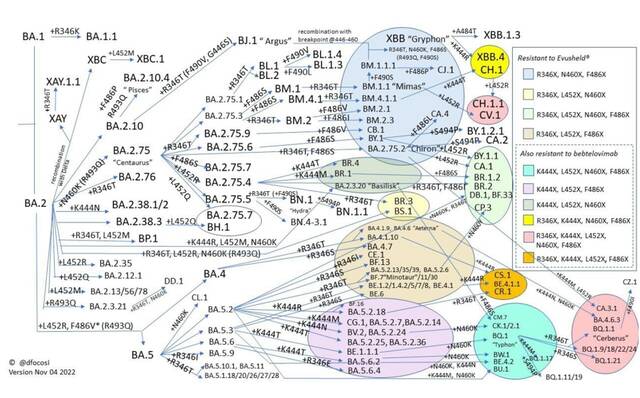 已有多种新冠毒株具备耐药性（作者供图）