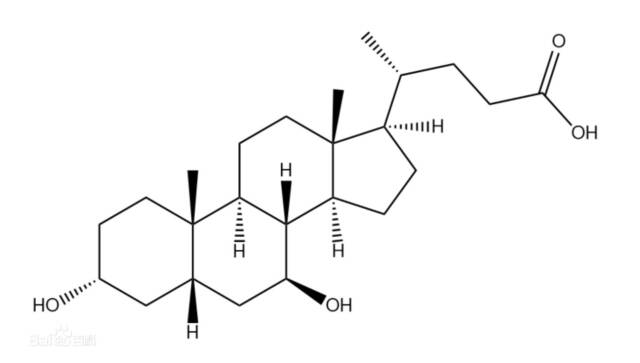 熊去氧胆酸分子结构图（作者供图）