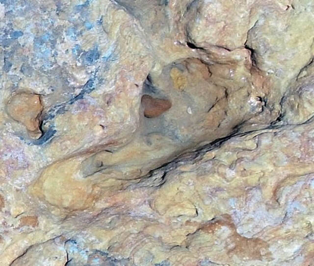 到底是谁在30万年前在西班牙安达卢西亚留下神秘脚印？