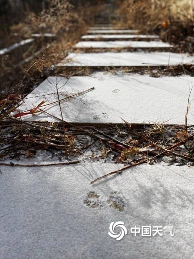 北京冰冻模式继续 延庆飘雪地面仿佛披白纱