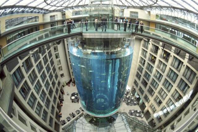 柏林一酒店大型水族箱爆裂 1500条鱼被冲上街