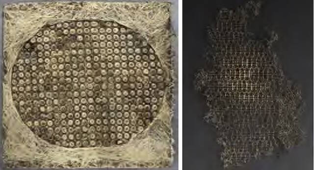 戴安娜·谢勒对于材料的研究《交织——成长中的纺织品》