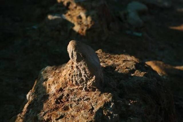 浙江湖州发现我国最久远人类“露营地”现场还发现26枚人类脚印化石