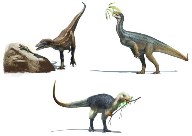 《科学·进展》：新研究揭示最古老的恐龙食谱很多食草恐龙的祖先其实是杂食类