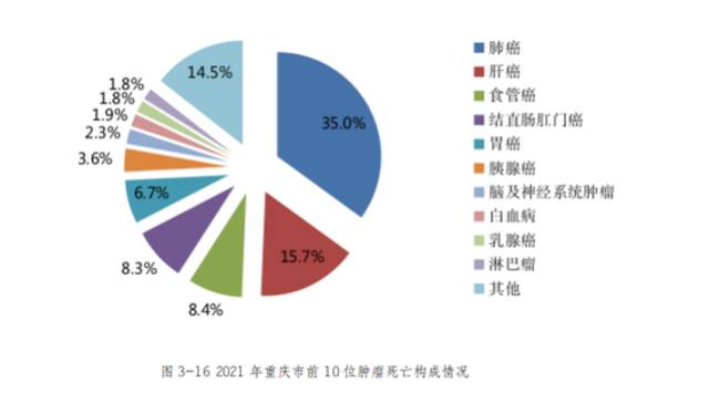  2021年重庆市前10位肿瘤死亡构成情况。来源：《报告》