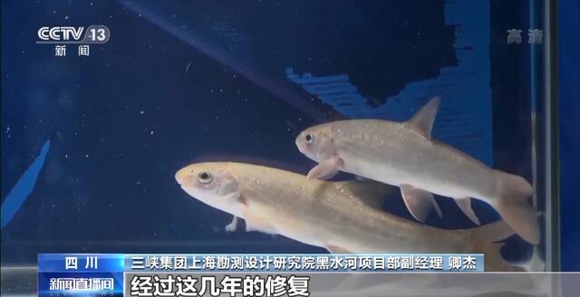 央视《新闻联播》聚焦：金沙澎湃，“白鹤”腾飞！