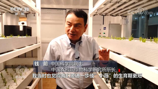 焦点访谈：“小薇”的太空之旅