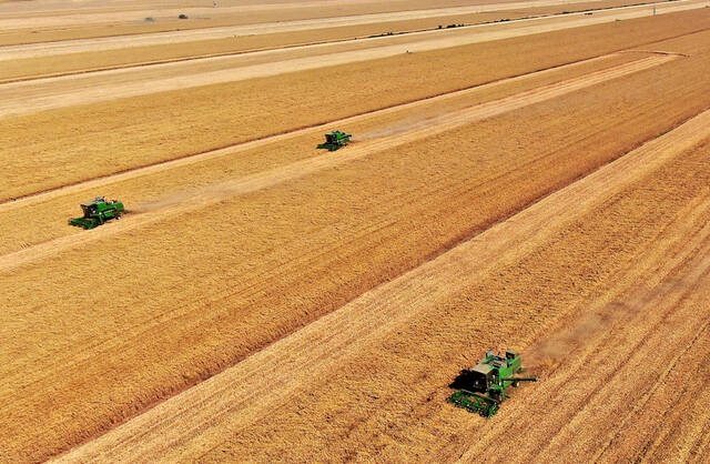 在河南省黄泛区农场九分场的麦田里，农机手操作收割机收获小麦（2021年6月6日摄，无人机照片）。新华社记者李安摄