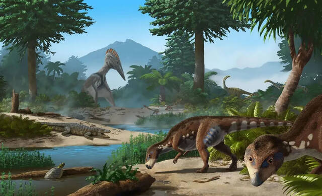 罗马尼亚发现恐龙新物种Transylvanosaurus platycephalus头部异常扁平