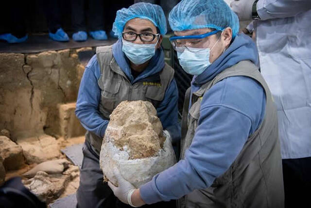 湖北十堰学堂梁子遗址发现的“郧县人”3号头骨化石顺利提取出土