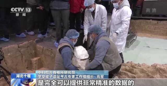 “郧县人”3号头骨化石提取出土，实证我国百万年人类史