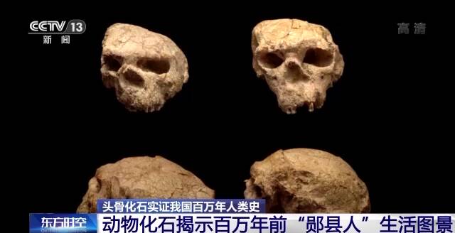 “郧县人”3号头骨化石提取出土，实证我国百万年人类史