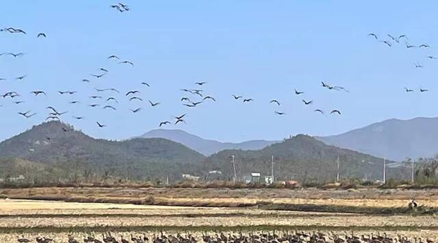 外媒：27日“朝无人机航迹”惊动韩军出动多架战机，最终发现是鸟群