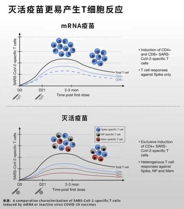 科兴三针防感染率仅有8%？ 研究：防感染灭活效果略低于mRNA疫苗