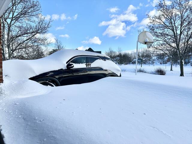 这是12月25日在美国纽约州伊利县阿默斯特地区拍摄的雪后景象。图片来源：新华社