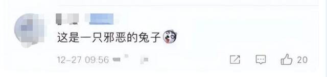 兔年邮票“蓝兔子”引争议，有人“想起了童年阴影”，有人却说很酷！