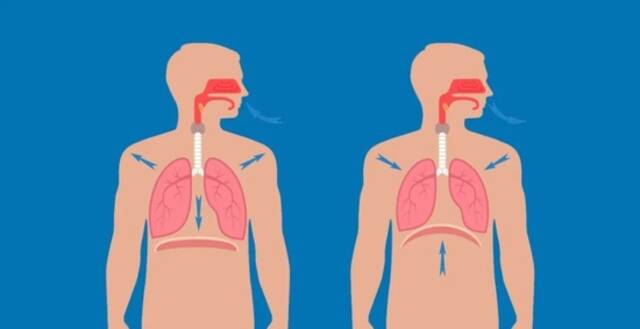 新冠导致“白肺”的概率有多高？医生点名4类危险人群