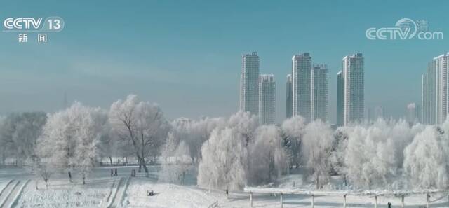 从南到北 一起领略千差万别的冬日美景