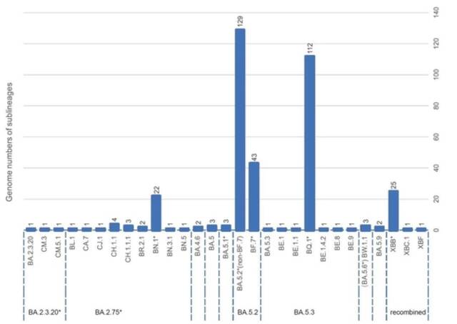 救急药2小时送达！“上海样本”包含30个奥密克戎亚型毒株，北上广感染峰值预测