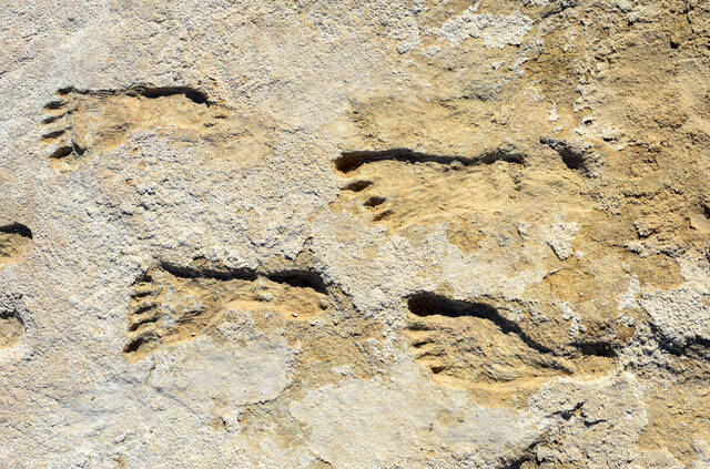 新研究对在美国新墨西哥州奥特罗湖盆地发现的人类脚印化石的年龄提出质疑