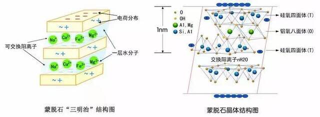 蒙脱石散的原材料是蒙脱石，是一种天然的黏土矿物，蒙脱石特殊的“三明治”八面体结构使其具有很强的吸附性。受访者供图