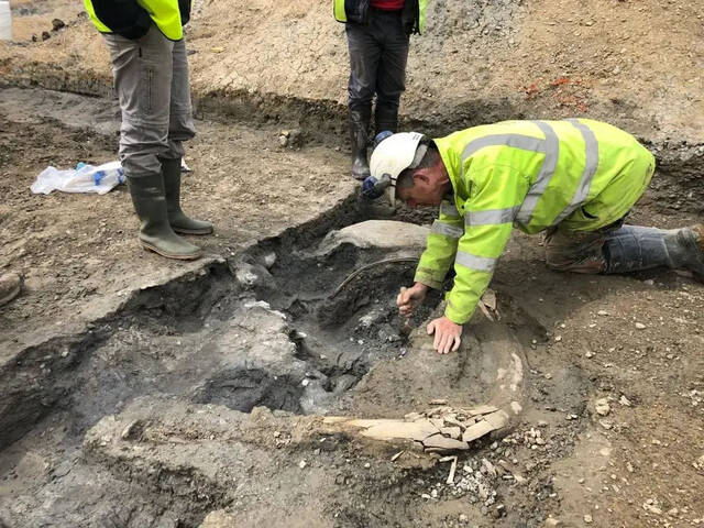 加拿大发现的化石揭示一种超级捕食者鱼龙可能是地球史上最大动物