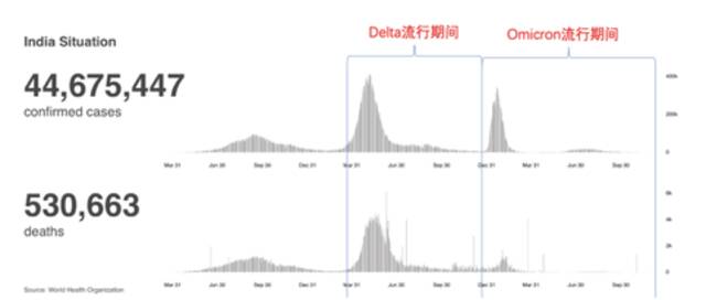 徐建青：XBB会再度暴击中国吗？数据提示：峰值不会太高