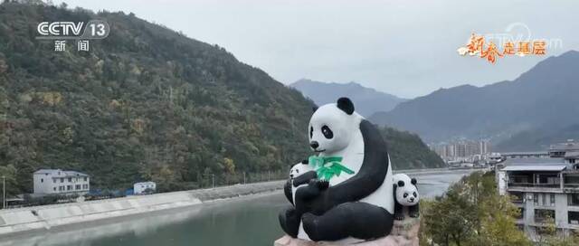 新春走基层  小蜜蜂守护大熊猫