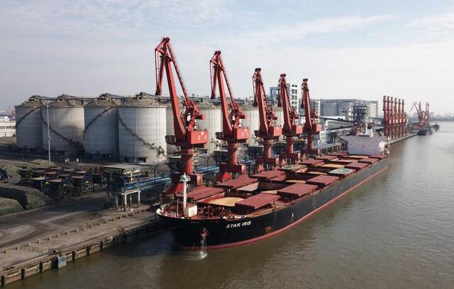 1月7日，载有6.8万吨巴西玉米的货轮抵达广东麻涌港。新华社记者黄国保摄