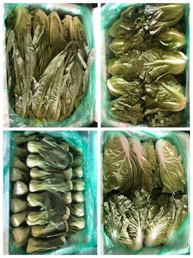 申城蔬菜价格提前进入春节调整周期： 市场供应充足，叶菜类价格上涨