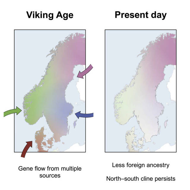 斯堪的纳维亚从罗马铁器时代到现在的遗传史