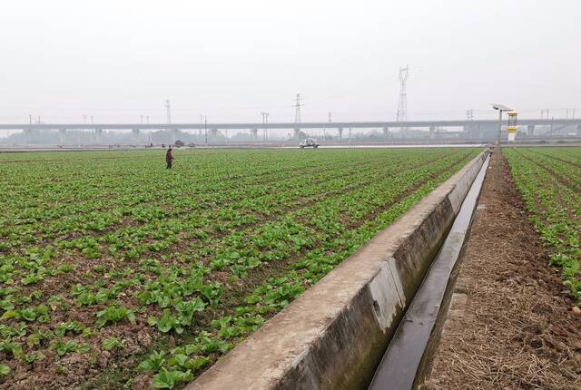 1月10日拍摄的永丰村高标准农田，灌溉渠从旁边流过。新华社记者陈健摄