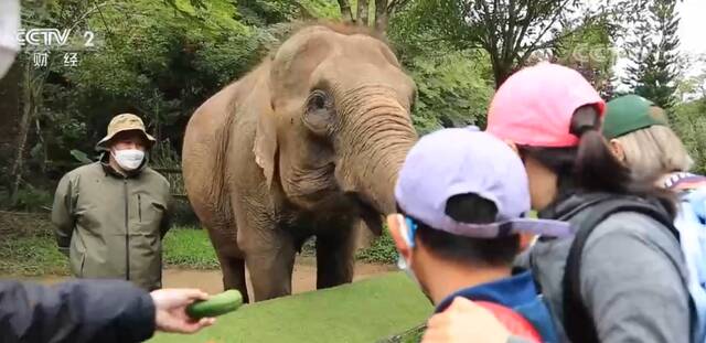 云南西双版纳游客大幅增长 旅游业快速回暖