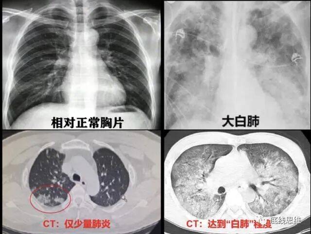 资料图来源：上观新闻