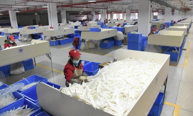 图为贵州亚狮龙体育文化产业发展有限公司的工人们正在车间里生产羽毛球。新华社记者罗羽摄