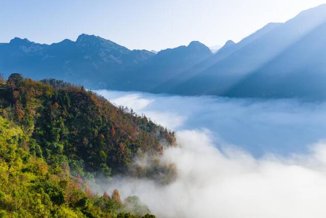 镜头丨冬景美如画