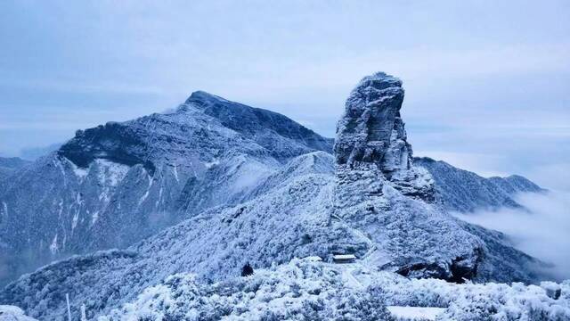 镜头丨冬景美如画