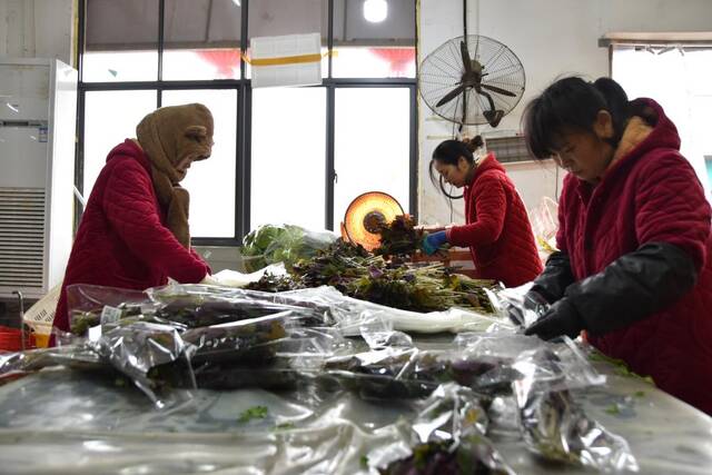 长沙海吉星市场里的工人在包装蔬菜。新华社记者白田田摄