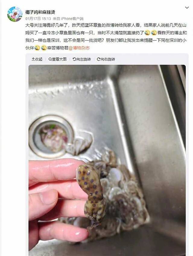 顾客在山姆买到蓝环章鱼事件背后，这些疑问还未解开