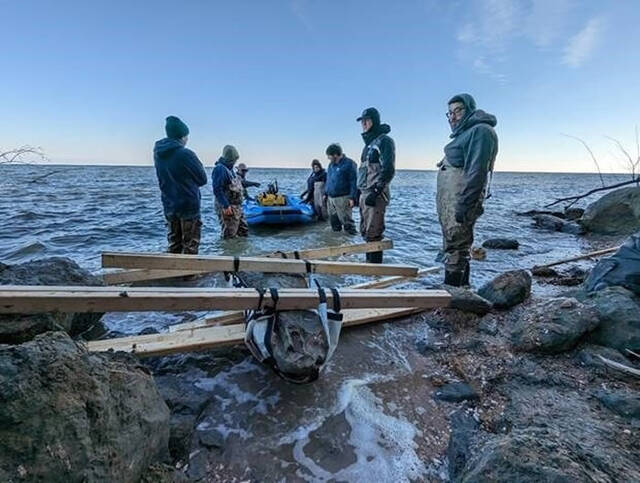 美国马里兰州切萨皮克湾海滩发现1200万年前的鲸鱼头骨化石