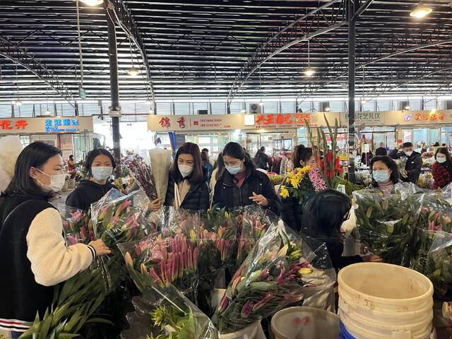 供不应求、量价齐高，冷清了三年的广州春节花市火回来了