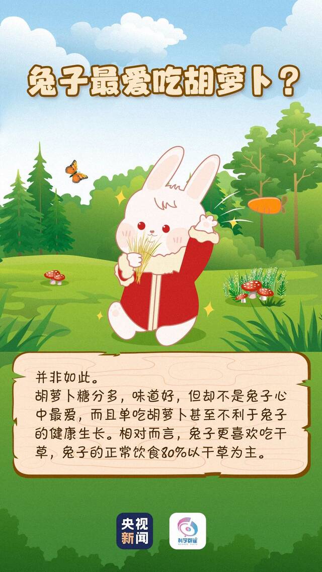 这个兔年“双春”有384天 还有更多你不知道的“小秘密”