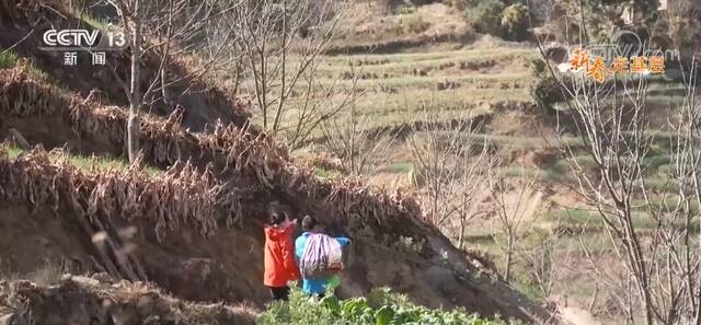 新春走基层  我为村民投递“幸福”