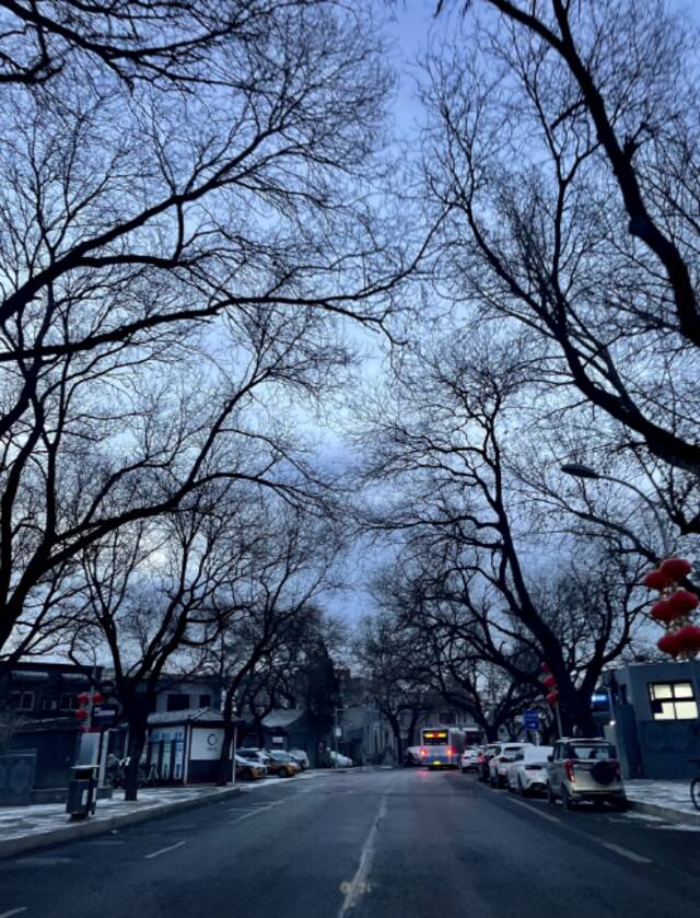 下雪了！北京凌晨多地降雪，最大的在这儿