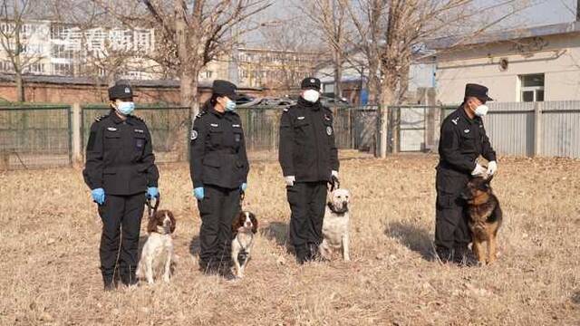 视频｜过年丨警犬“小白”的首个春运