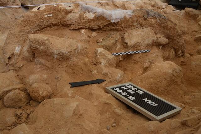 尼安德特人洞穴中发现大量动物头骨