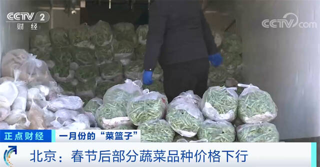 关注“菜篮子”生产供应 节后部分蔬菜品种价格下行