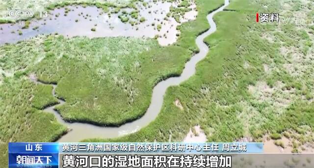 我国现有湿地约5635万公顷 各地湿地保护与恢复工作正在进行中