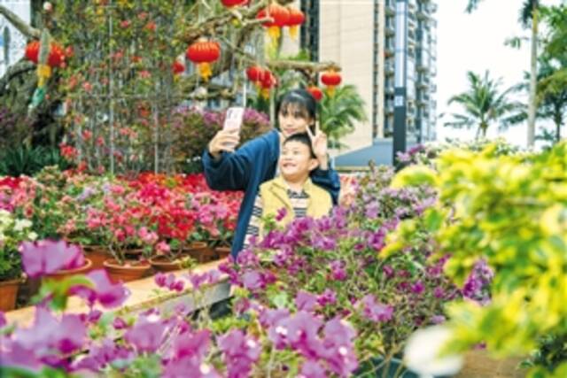 2月2日，在海南热带花卉交易（拍卖）市场，市民游客在赏花拍照。本报记者苏弼坤摄