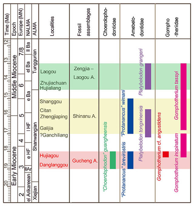 甘肃临夏盆地嵌齿象类的生物地层和生物地理研究进展